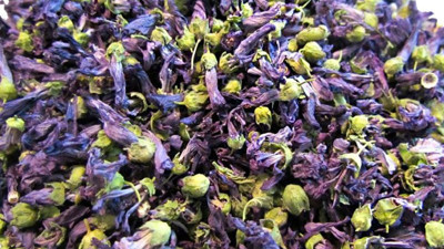 Hatmi çiçeği nasıl kullanılır, zararı var mıdır?