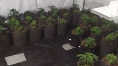 Evini uyuşturucu tarlasına çevirdi (02 Mart 2023)