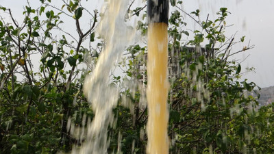 Gözlerine inanamadı. Çiftçi bahçesini sularken fark etti.