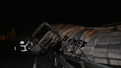 Hayvana çarpmamak için direksiyonu kırdı. TIR devrildi