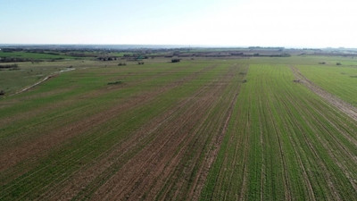 Tekirdağ Süleymanpaşa’da icradan satılık tarla hissesi