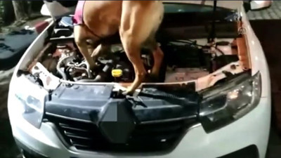 Trabzon'da operasyon: 2 gözaltı