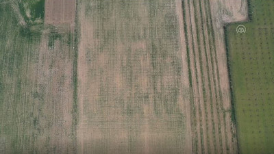 İzmir'de tüm Türkiye'yi tedirgin eden görüntü