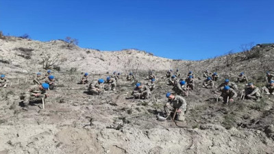 KKTC'de askerler yanan ormanlık alana 5 bin fidan dikti