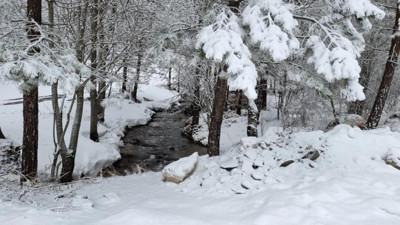 Domaniç Dağı'na mart karı