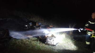 Arılar yanarak öldü