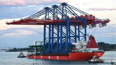 ABD’den yeni suçlama: Çinli vinçler casusluk yapıyor