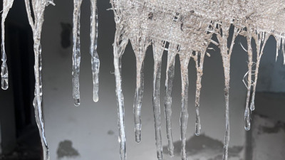 Ağrı'da don etkili oldu