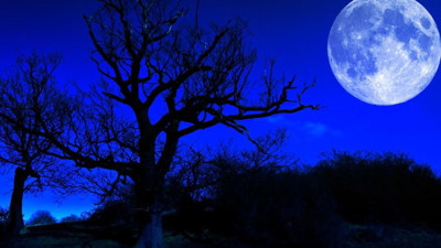 Yine rüyasında gördü. Kassandra seçimlerden önce olacakları açıkladı