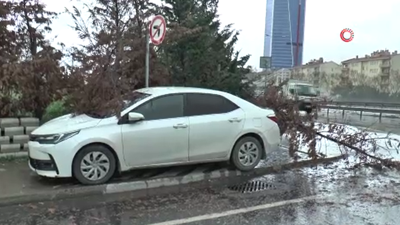 İstanbul'da etkili olan şiddetli rüzgar ağaçları devirdi