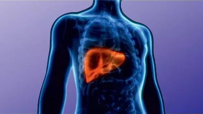 Karaciğeri pırıl pırıl yapan gıdalar