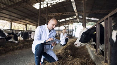 Uzmanından korkutan şap hastalığı uyarısı