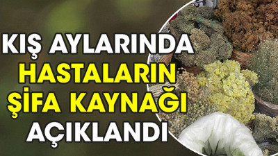 Kış aylarında hastaların şifa kaynağı açıklandı