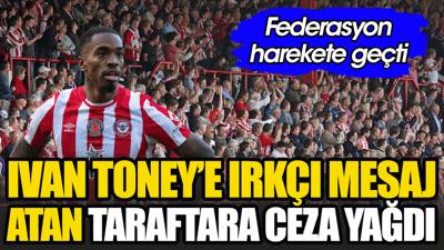 İngiliz futbolcuya sosyal medyadan ırkçı mesaj yollayan taraftara ceza yağdı