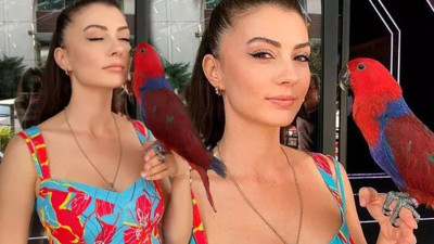 Burcu Özberk'in kuşu kaçtı. Bulana para ödülü verecek