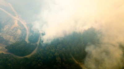 Arjantin'de orman yangınlarında 3 bin hektarlık alan kül oldu