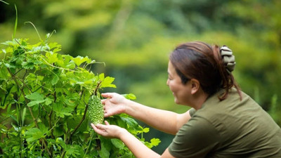 İşte 100 yaşını görmenin ipuçları
