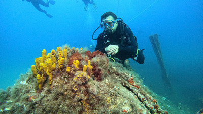 Çanakkale Savaşları’nın batıkları araştırmacılara ışık tutuyor