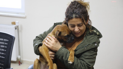 Depremzede aile depremzede köpek "Köfte'yi" sahiplendi