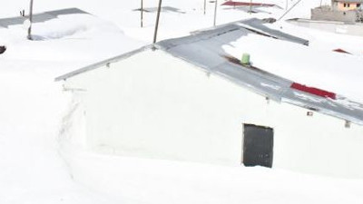 Bülbülan Yaylası'nı kar yuttu