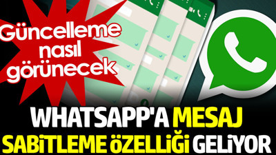 WhatsApp'a mesaj sabitleme özelliği geliyor. Güncelleme nasıl görünecek