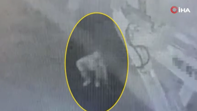 Bahçe duvarından işyerine girdi. Güvenlik kamerasına böyle takıldı