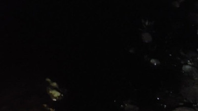 Dicle Nehri'ne tonlarca ham petrol aktı. Diyarbakır'da büyük panik