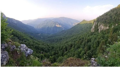 Orman Kanunu değişti. Bunun adı artık 'orman suçu' olacak