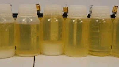 Parfüm şişesinden çıktı. Şok etti