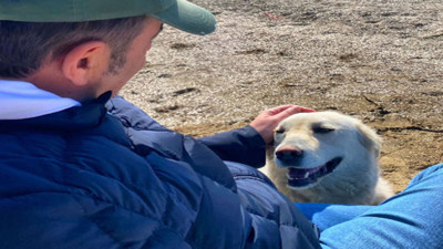 Ata Demirer'den köpeklere dair ilginç tespit. Emin ol