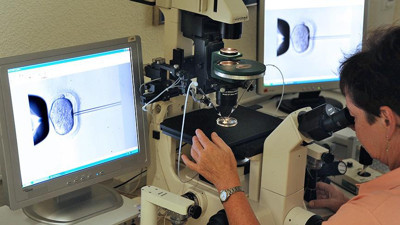 D vitamini eksikliği üremeyİ etkiler mi