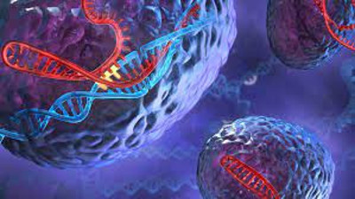 Genler kansere yakalanma riskini söyleyecek