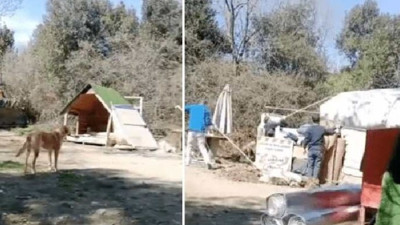 Boğaziçi Hayvan Barınma Merkezi’ni yıkıyorlar! Öğrenciler alınmıyor, gözaltılar var