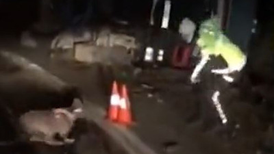 Trafik polisi canını zor kurtardı. Bir pitbull dehşeti daha