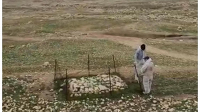 DEAŞ'ın öldürdüğü Yezidilerin toplu mezarı ortaya çıktı