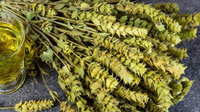 Rüyada ada çayı görmek ne anlama geliyor?