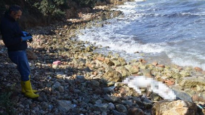 Didim'de denizde bir ceset daha bulundu
