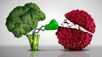 Kanseri hırpalayan besinler