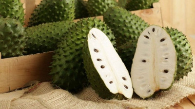 İşte Kanser tedavisinde en etkili gıdalar