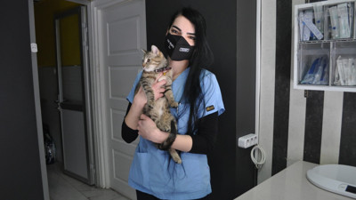 Ölümcül etkiye sahip yeni virüs ortaya çıktı. Sokak kedilerinde görülüyor