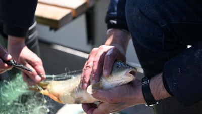 Yasağa uymayıp balık avlayanlara ceza kesildi