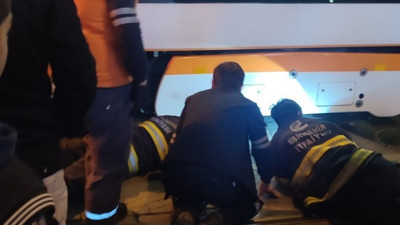 Tramvayın altında kalan köpekler kurtarıldı