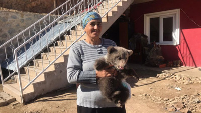 Bebek bezli yavru ayıya evinde bakan köylü: Çocuktan farkı yok