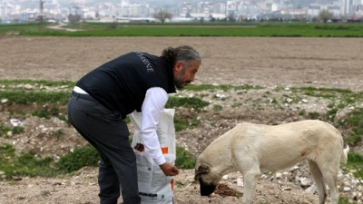 Deprem bölgesinde sahipsiz hayvanlar unutulmadı