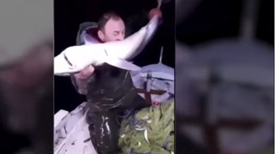 Köpek balığı köpek balığı olalı böyle zulüm görmedi. Karadenizli balıkçı köpek balığını ısırdı