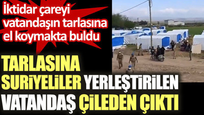 Tarlasına Suriyeliler yerleştirilen vatandaş çileden çıktı. İktidar çareyi vatandaşın tarlasına el koymakta buldu