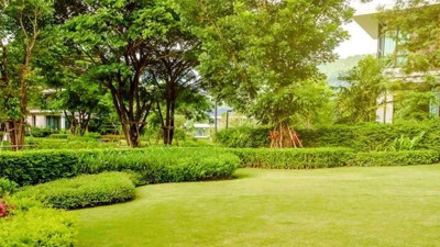 Rüyada bahçe görmek ne anlama geliyor? Rüyada bahçe görmek ne demek?