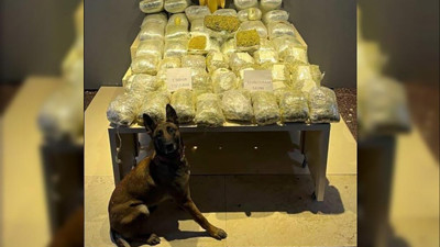 Yolcu otobüsünde 51 kilo skunk ele geçirildi