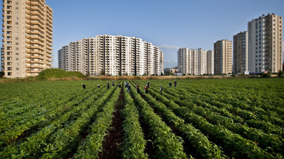 Tarım ve orman alanlarında yeni düzenleme