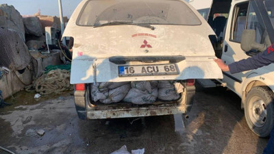 Kurda kuzu teslim etmişler. İmha için verilen deniz patlıcanlarını satmışlar